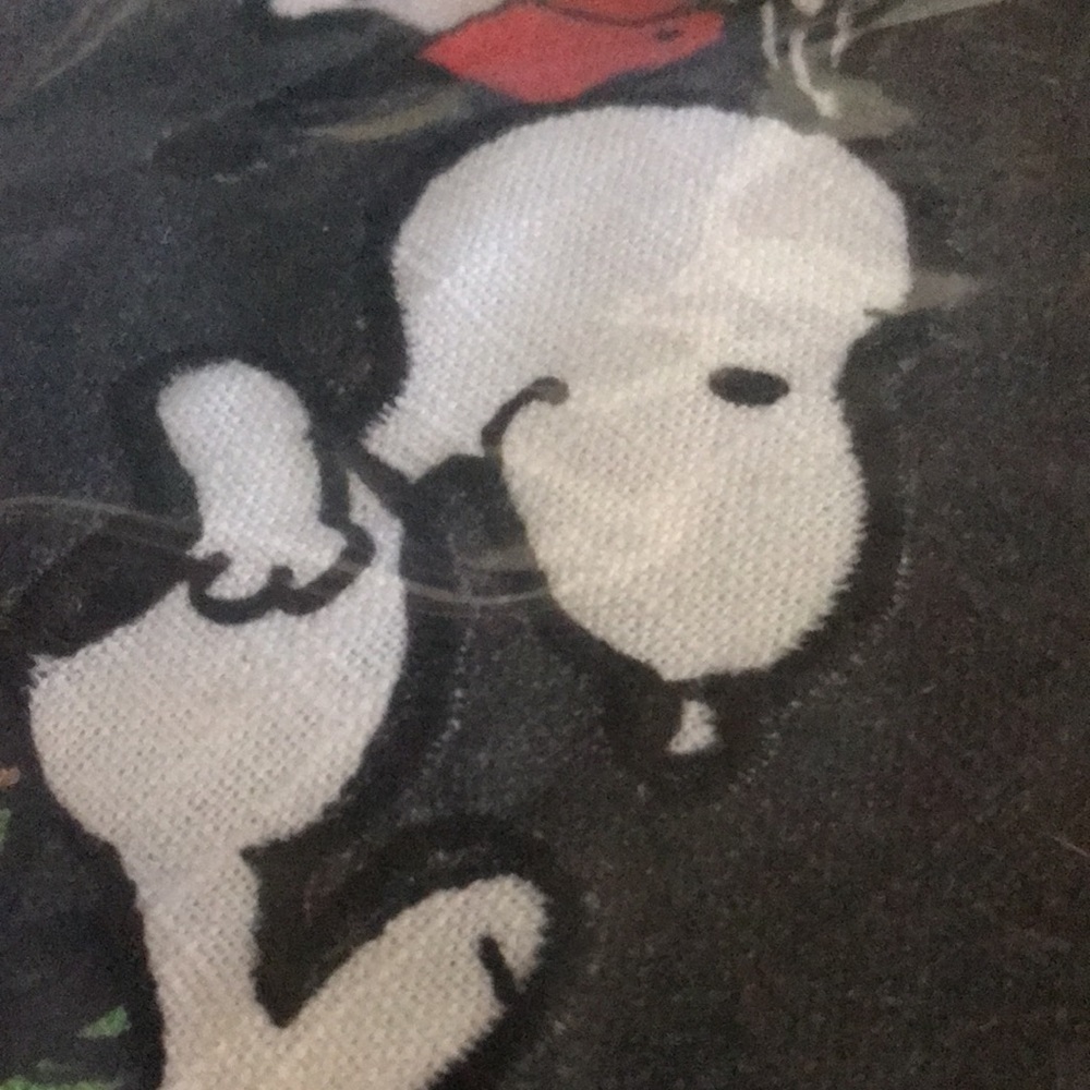 Pottery Barn Peanuts “LOVE” Happy Valentines Charlie Brown Pillow Cover … - Picture 13 of 16